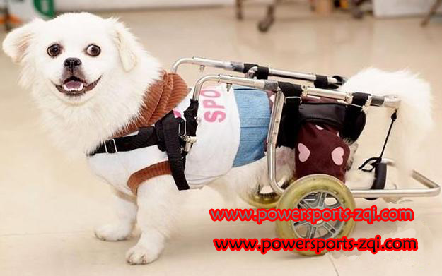 Global B2B directory Global trade lead