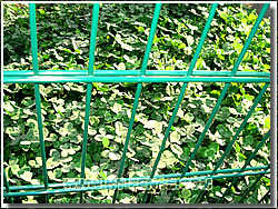 Global B2B directory Global trade lead