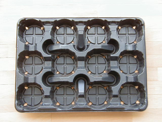 Global B2B directory Global trade lead Trade lead