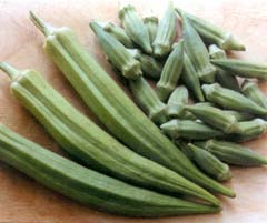 Global B2B directory Global trade lead