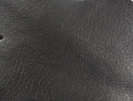 Global B2B directory Global trade lead Trade lead