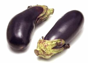 Global B2B directory Global trade lead