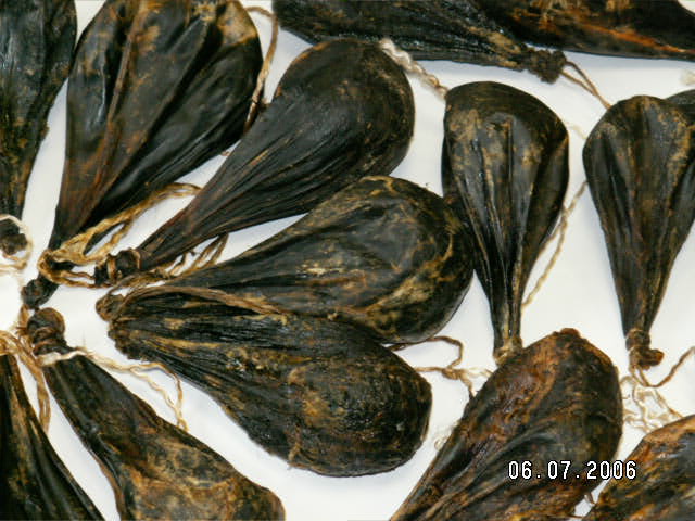 Global B2B directory Global trade lead