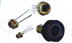 Global B2B directory Global trade lead