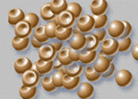 Global B2B directory Global trade lead