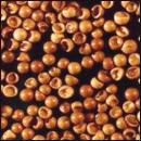 Global B2B directory Global trade lead