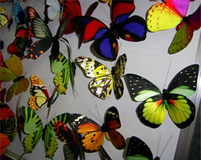 Global B2B directory Global trade lead