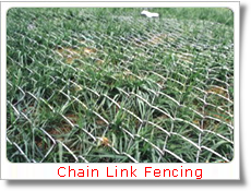 Global B2B directory Global trade lead