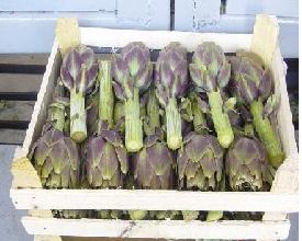 Global B2B directory Global trade lead