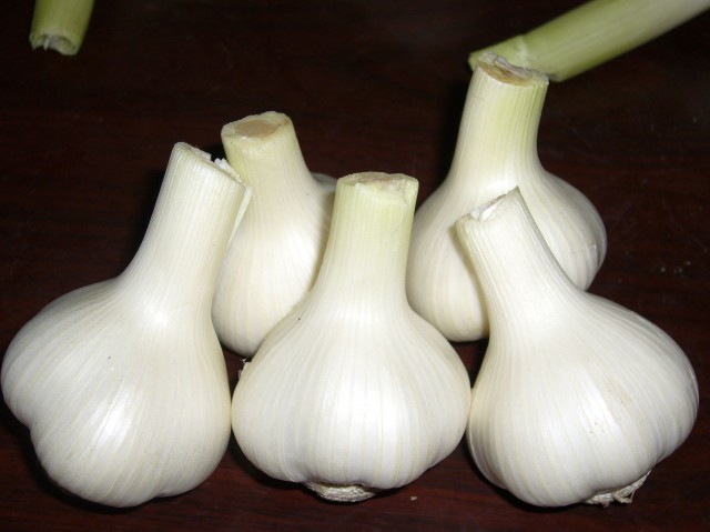 Global B2B directory Global trade lead