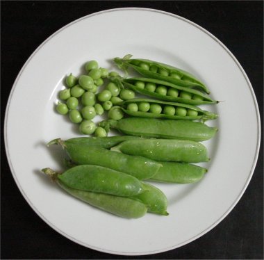 Global B2B directory Global trade lead