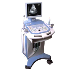 Global B2B directory Global trade lead